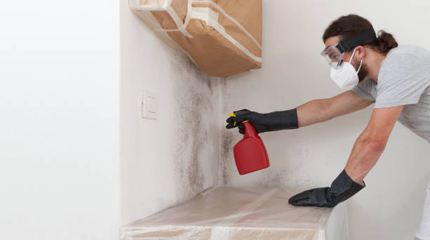 Professional Crawl Space Mold Removal technician working in Fair Lawn, NJ