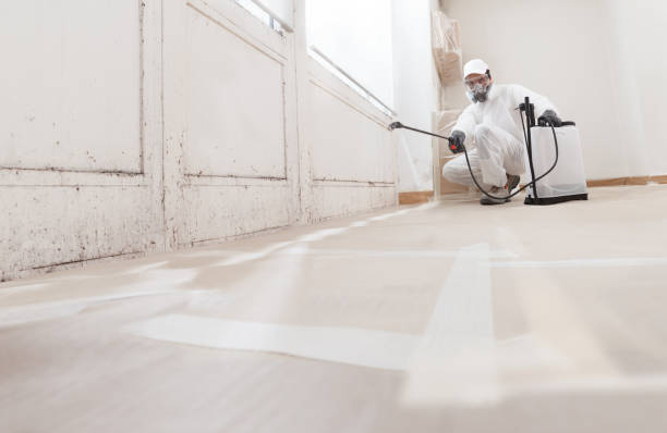 24/7 Emergency Crawl Space Mold Removal experts in Fair Lawn, NJ